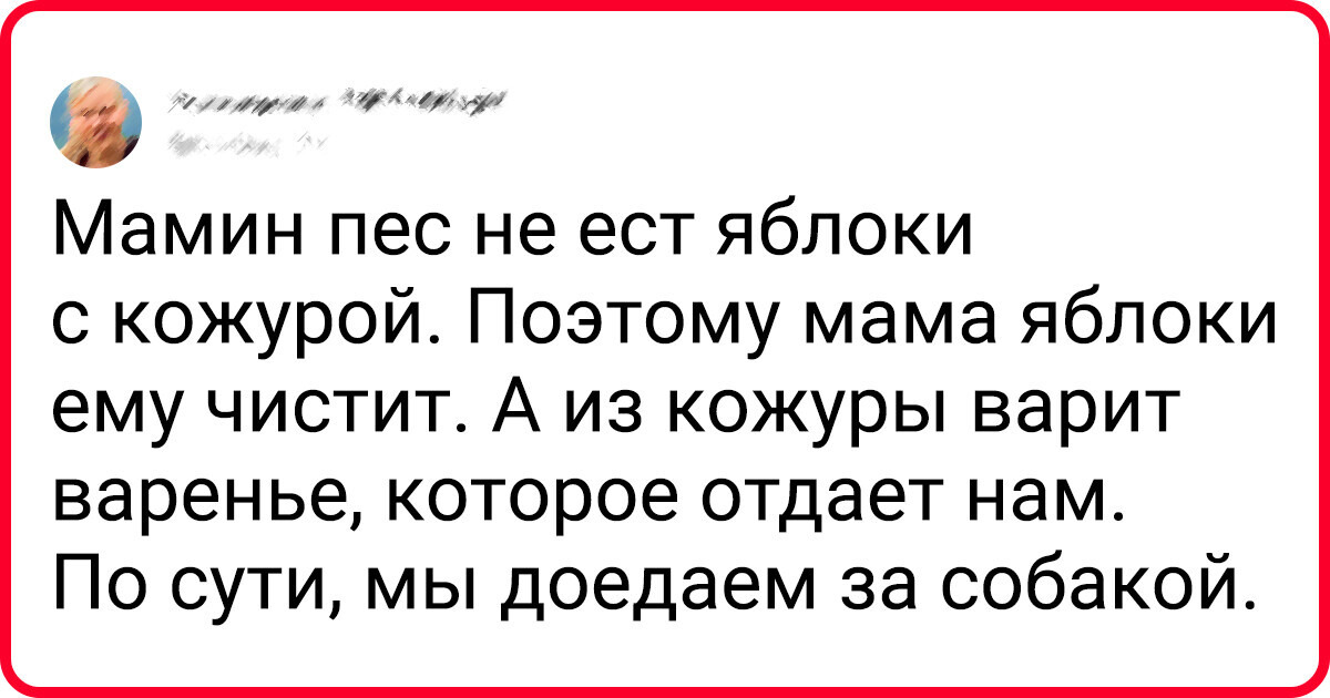9 человек, которые готовы в лепешку расшибиться, лишь бы угодить своим питомцам 9 человек, которые готовы в лепешку расшибиться, лишь бы угодить своим питомцам
