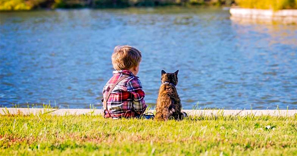 18 сильных фото, которые прошибут даже самых толстокожих