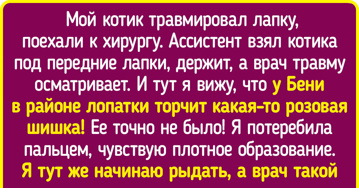 15+ человек, которые попали в такую ситуацию, что порой даже вспоминать неловко 15+ человек, которые попали в такую ситуацию, что порой даже вспоминать неловко