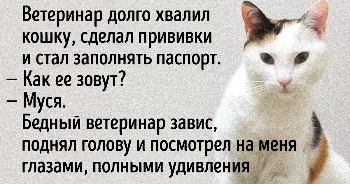 Я навсегда переехала в солнечную Турцию и готова поделиться рассказом о деталях, к которым совсем не была готова Я навсегда переехала в солнечную Турцию и готова поделиться рассказом о деталях, к которым совсем не была готова