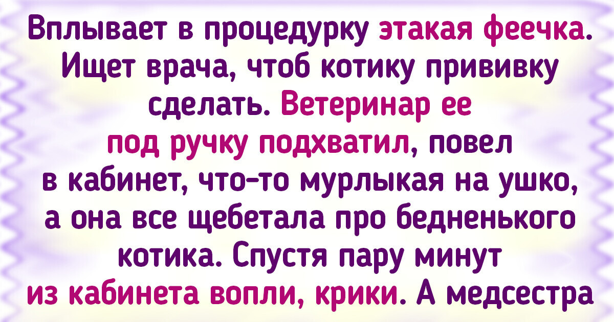 20 историй о том, что лечить питомцев бывает весьма непросто 20 историй о том, что лечить питомцев бывает весьма непросто