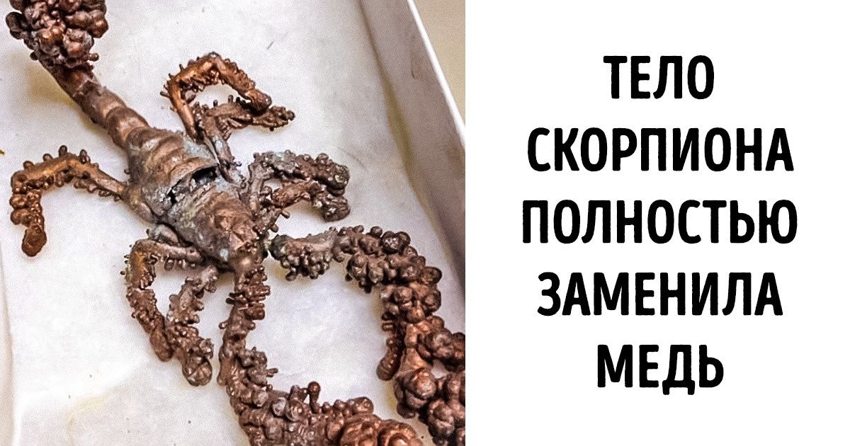 Если вы думали, что геология — это скучно, то вот 20 фото, от которых случится взрыв мозга Если вы думали, что геология — это скучно, то вот 20 фото, от которых случится взрыв мозга