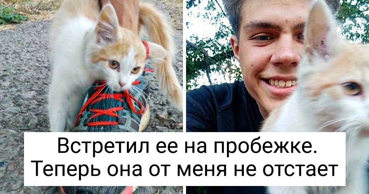 16 животных, которые не ждут знаков свыше, а действуют здесь и сейчас 16 животных, которые не ждут знаков свыше, а действуют здесь и сейчас