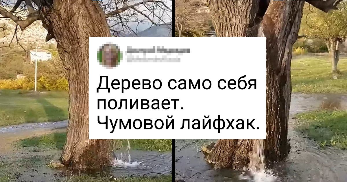 17 фото, которые доказывают, что природа заткнет за пояс любого фокусника 17 фото, которые доказывают, что природа заткнет за пояс любого фокусника