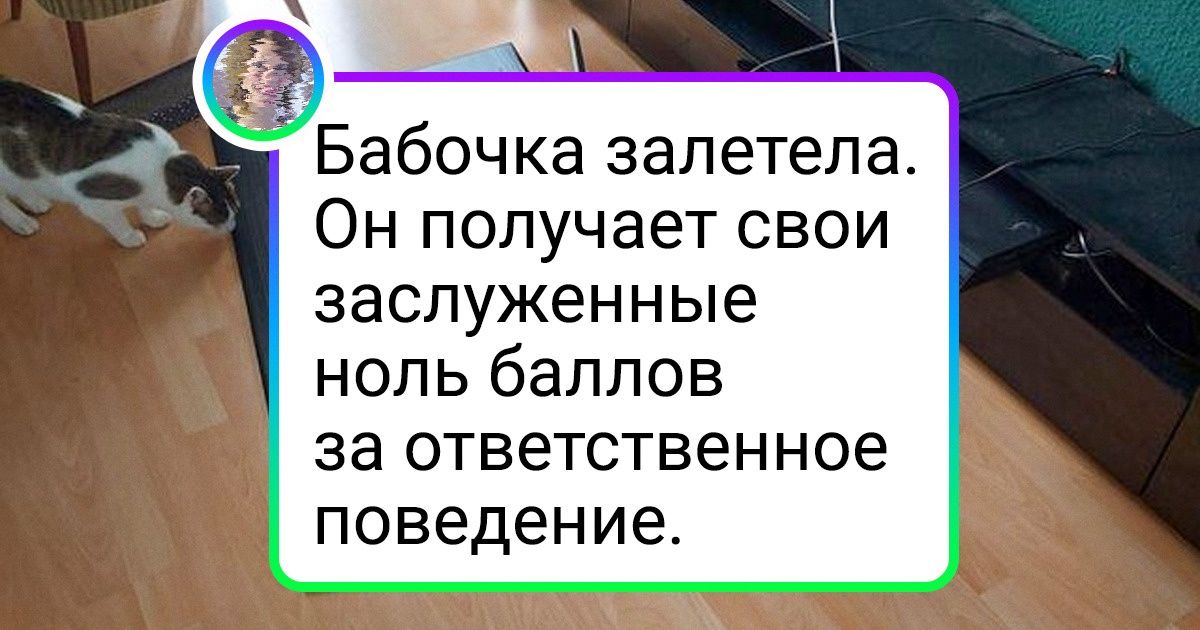 18 питомцев, которые даже не потрудились замести следы после совершенных хулиганств. Но любят их от этого не меньше 18 питомцев, которые даже не потрудились замести следы после совершенных хулиганств. Но любят их от этого не меньше