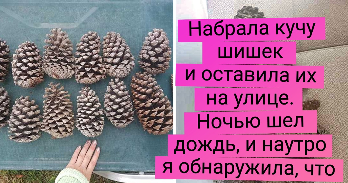 15+ открытий, которые люди совершили, просто получше приглядевшись к окружающему миру 15+ открытий, которые люди совершили, просто получше приглядевшись к окружающему миру
