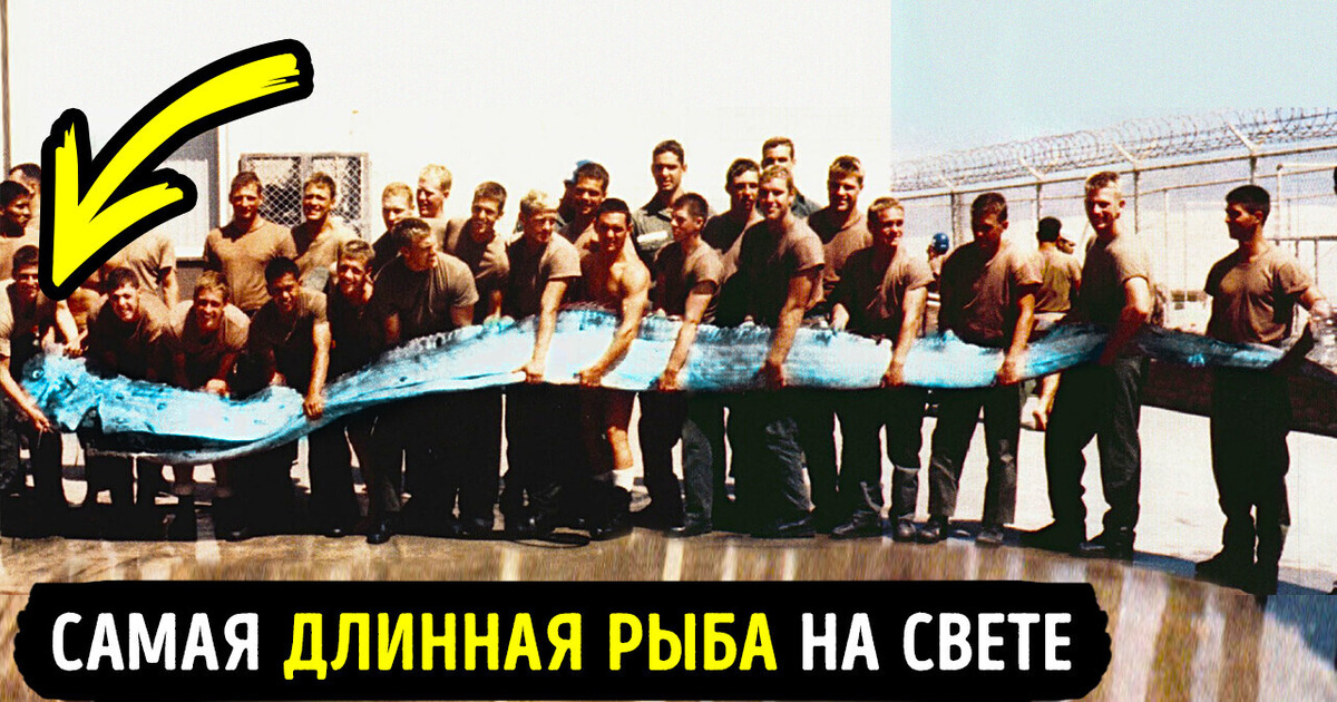 10 глубоководных существ, из-за которых вас будут мучить кошмары!