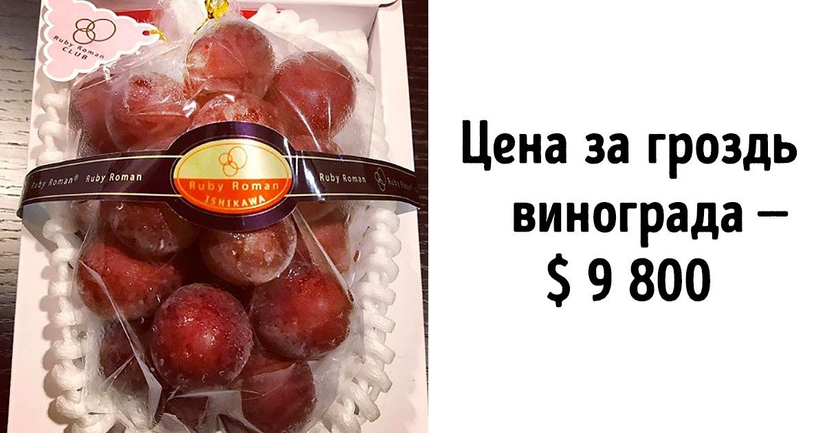 8 самых дорогих вещей на нашей планете (Забудьте про золото, теперь богатство измеряется скорпионами) 8 самых дорогих вещей на нашей планете (Забудьте про золото, теперь богатство измеряется скорпионами)