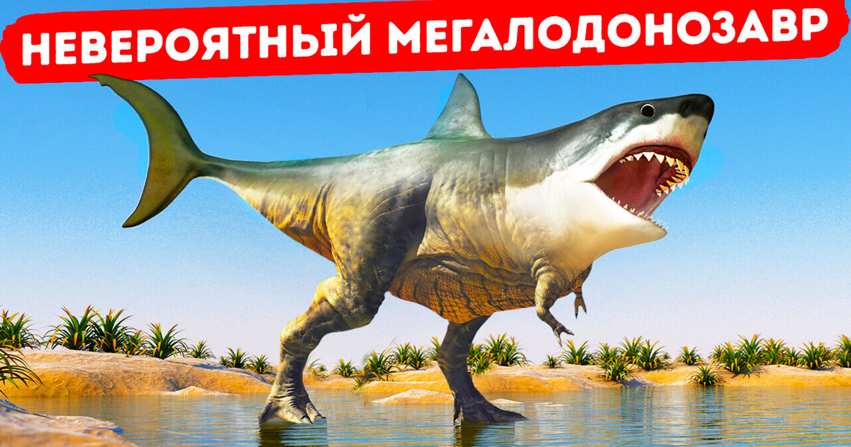 Что, если бы мегалодон и тираннозавр превратились в одно существо? Что, если бы мегалодон и тираннозавр превратились в одно существо?