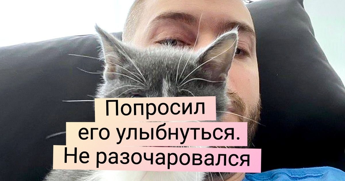 15 котов-приколистов, которые научились корчить такие морды, что хоть стой, хоть падай