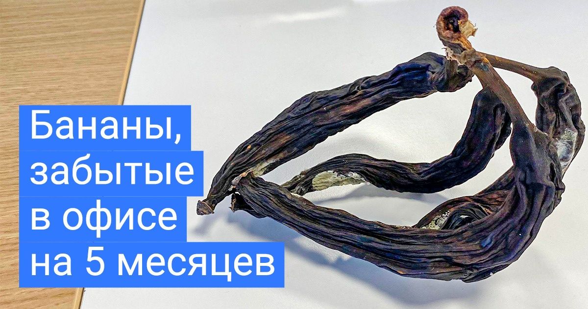 15+ человек, которые стали свидетелями случайного эксперимента и узнали много любопытного 15+ человек, которые стали свидетелями случайного эксперимента и узнали много любопытного