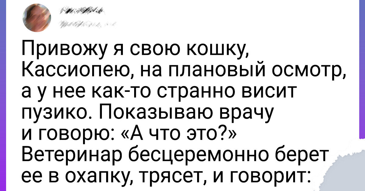 20+ твитов, которые поймет каждый хозяин хвостатого сокровища