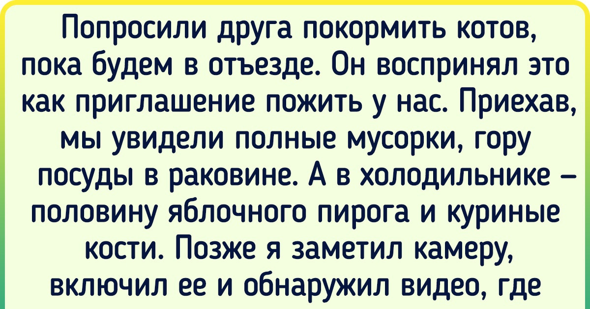 16 историй о людях, которые поняли фразу «чувствуй себя как дома» слишком буквально 16 историй о людях, которые поняли фразу «чувствуй себя как дома» слишком буквально