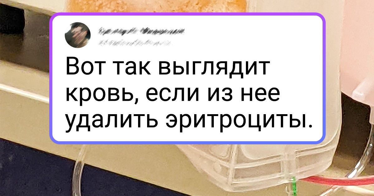20 фото, благодаря которым вы откроете еще несколько граней нашего мира 20 фото, благодаря которым вы откроете еще несколько граней нашего мира