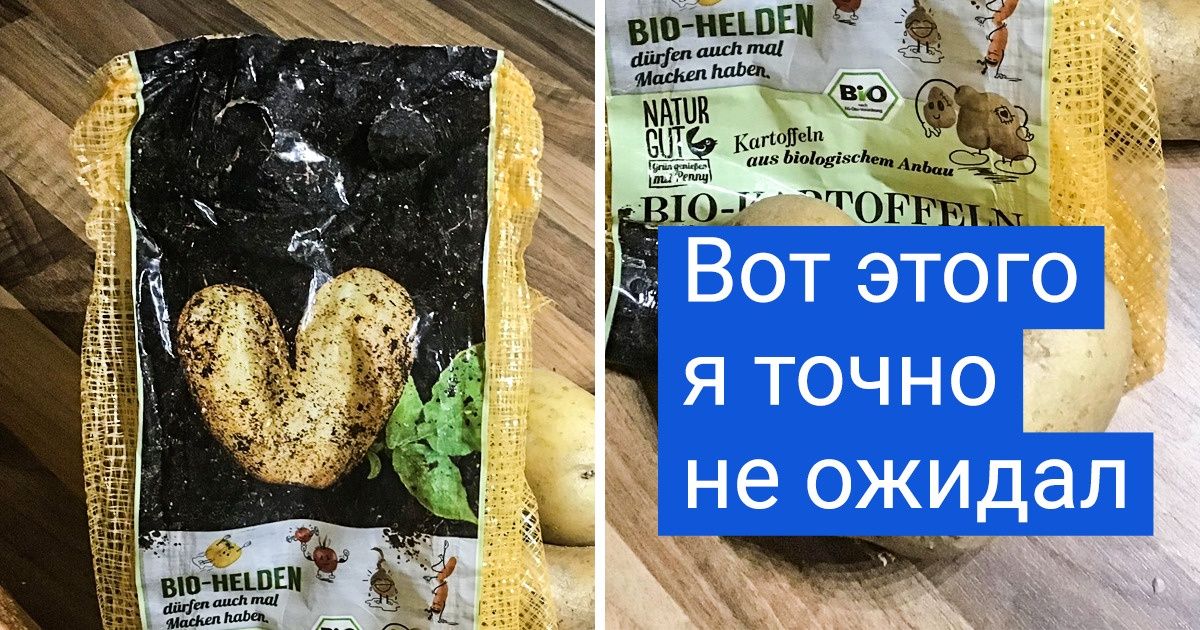 15+ случаев, когда покупка превзошла самые дерзкие ожидания 15+ случаев, когда покупка превзошла самые дерзкие ожидания