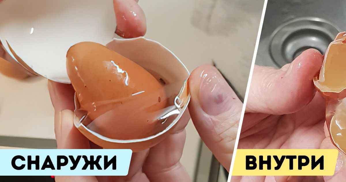 20 человек, которые увидели такое, что аж присвистнули от неожиданности и быстренько сделали фото 20 человек, которые увидели такое, что аж присвистнули от неожиданности и быстренько сделали фото