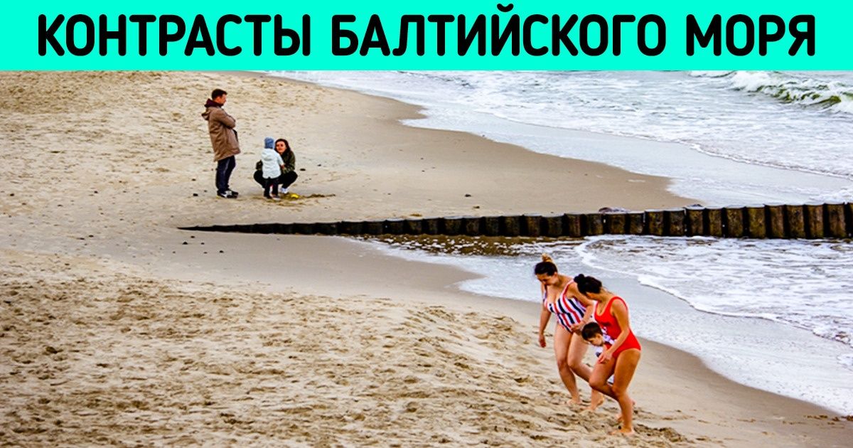 15 доказательств того, что есть только два типа людей на этой планете