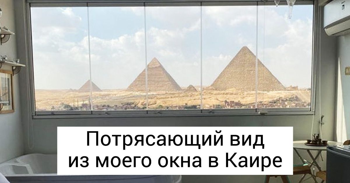 20+ человек, которые просто хотели снять жилье, но получили нечто совершенно особенное