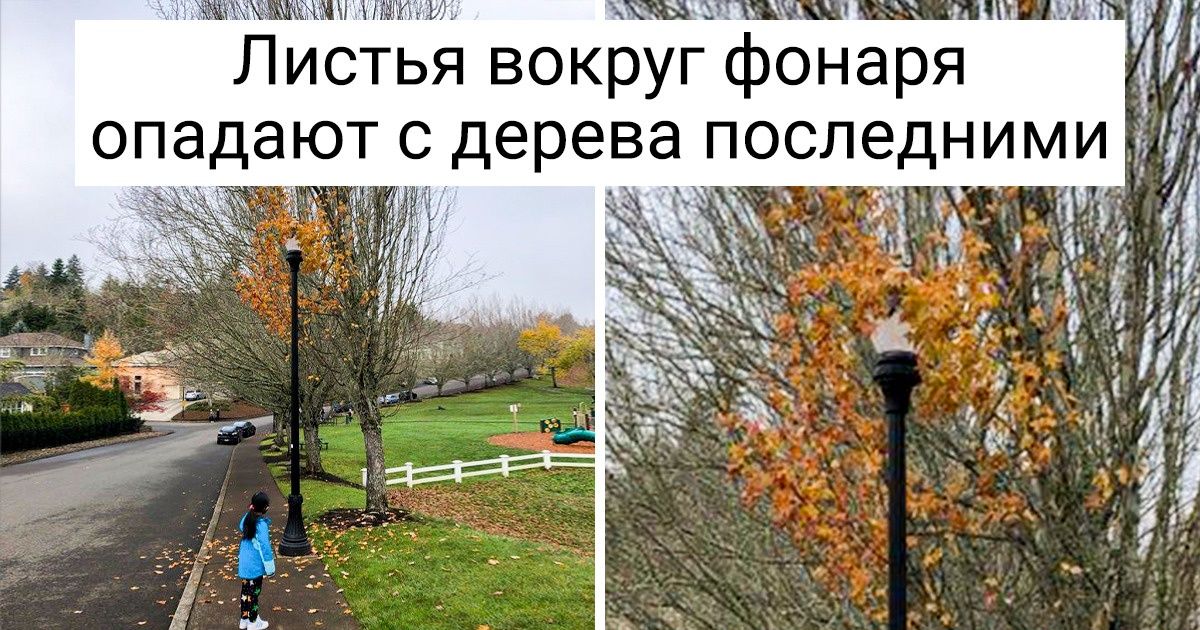 10+ явлений, которые природа создала специально для того, чтобы мы воскликнули: «Да ладно!»