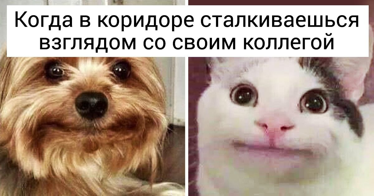 20+ жизненных моментов, которые до боли знакомы каждому