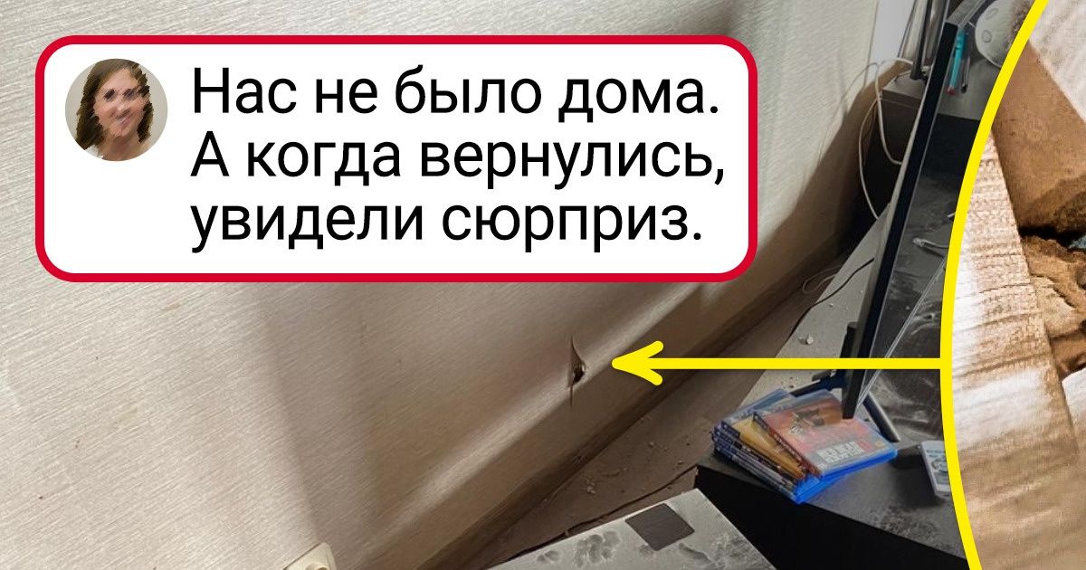 19 мест, в которых могут жить только люди с чугунными нервами 19 мест, в которых могут жить только люди с чугунными нервами