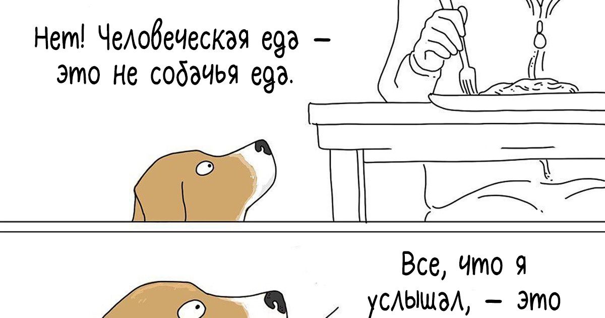 24 комикса от художника, у которого точно где-то припрятан разговорник языка зверей