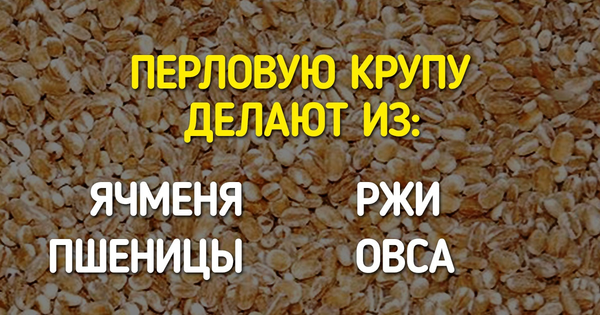 Бьемся об заклад, вы не сможете ответить правильно на все эти 15 нехитрых вопросов Бьемся об заклад, вы не сможете ответить правильно на все эти 15 нехитрых вопросов