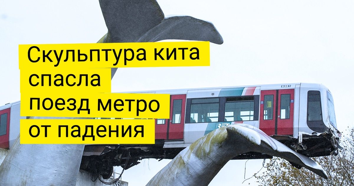 Хватит с нас негативных новостей. Мы нашли 20+ доказательств того, что 2020-й был не таким уж и плохим годом Хватит с нас негативных новостей. Мы нашли 20+ доказательств того, что 2020-й был не таким уж и плохим годом