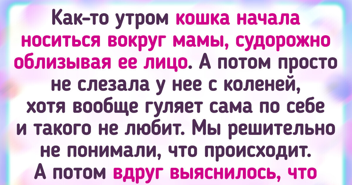 18 пушистых историй о том, как питомец может подкинуть в жизнь веселья