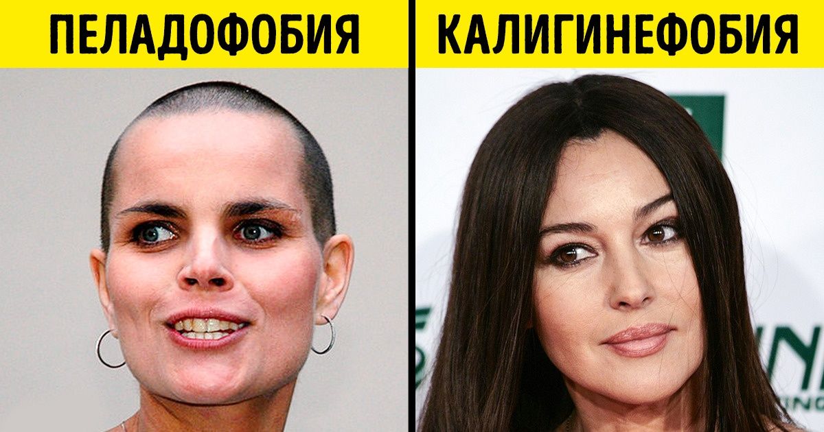Почему с каждым днем становится все меньше нормальных людей Почему с каждым днем становится все меньше нормальных людей