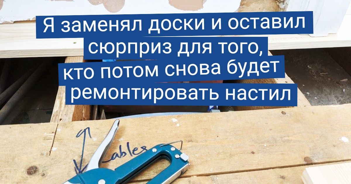 15+ человек, чье шестое чувство — отменное чувство юмора 15+ человек, чье шестое чувство — отменное чувство юмора