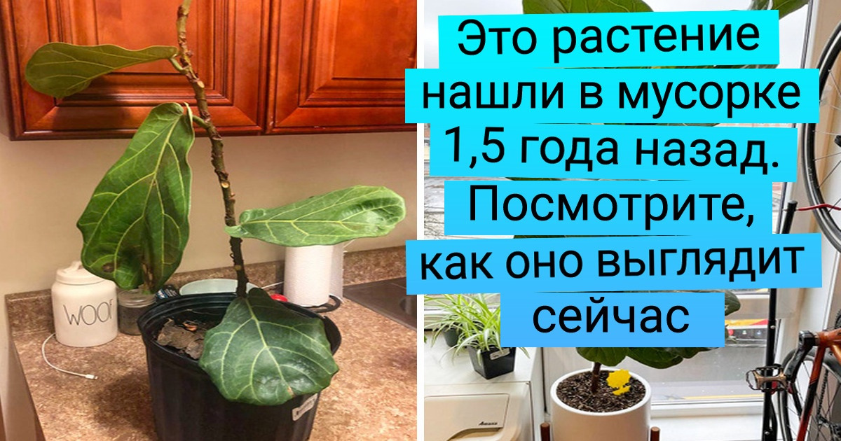 17 человек поделились фото «до и после», перемены на которых видны невооруженным глазом