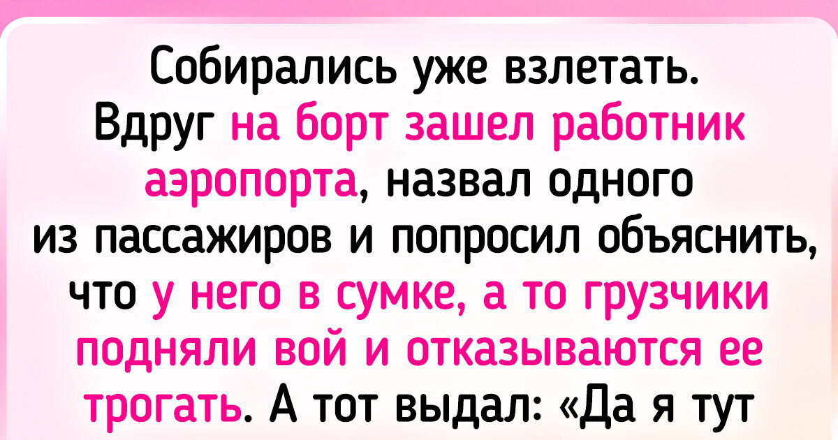 15 рейсов, которые прошли не по расписанию, а по законам комедии 15 рейсов, которые прошли не по расписанию, а по законам комедии