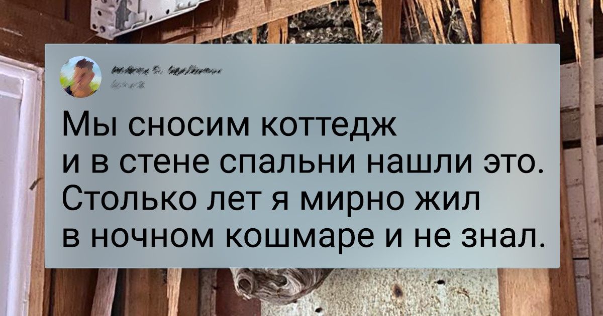 20 неожиданных находок в домах, которые стали настоящим сюрпризом для их владельцев