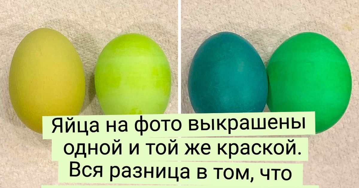 19 выхваченных из жизни фотосравнений, которые убедительнее гугла расскажут про этот мир