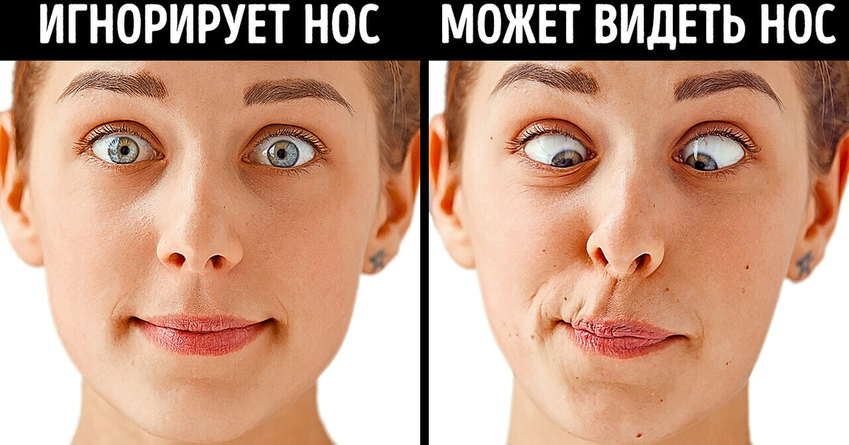 20+ фактов о теле, которые запомнятся на всю жизнь