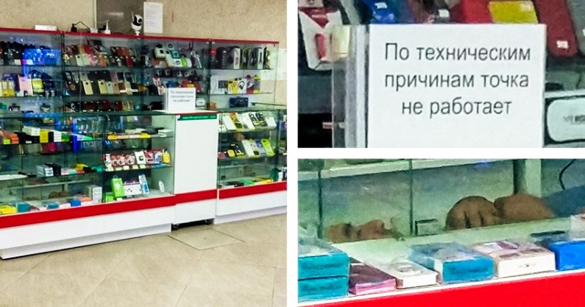 22 изображения, в которых вся суть настоящего недосыпа 22 изображения, в которых вся суть настоящего недосыпа