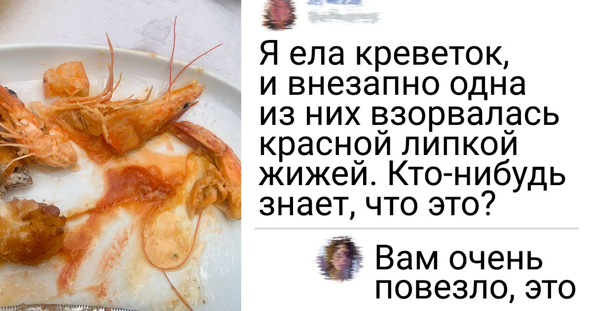 19 человек, которые просто пришли поесть в кафе, а получили не только хлеб, но и зрелища 19 человек, которые просто пришли поесть в кафе, а получили не только хлеб, но и зрелища