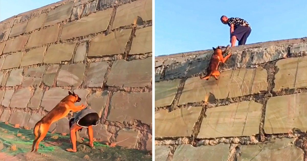 14 вещей, во время просмотра которых в вашей голове будет крутиться одна фраза: «Вот это да!»