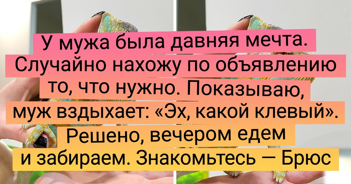 15 человек, которые знают толк в том, как осчастливить близких