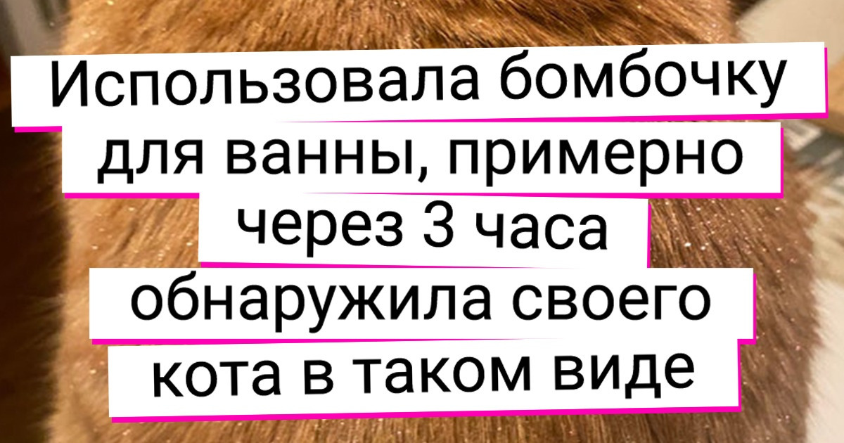 18+ пушистых озорников, у которых всегда найдется время для очередной шалости 18+ пушистых озорников, у которых всегда найдется время для очередной шалости