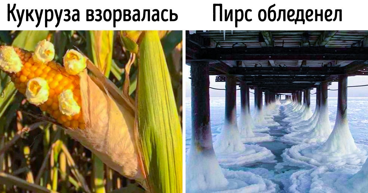 Что значит жить как карта ляжет