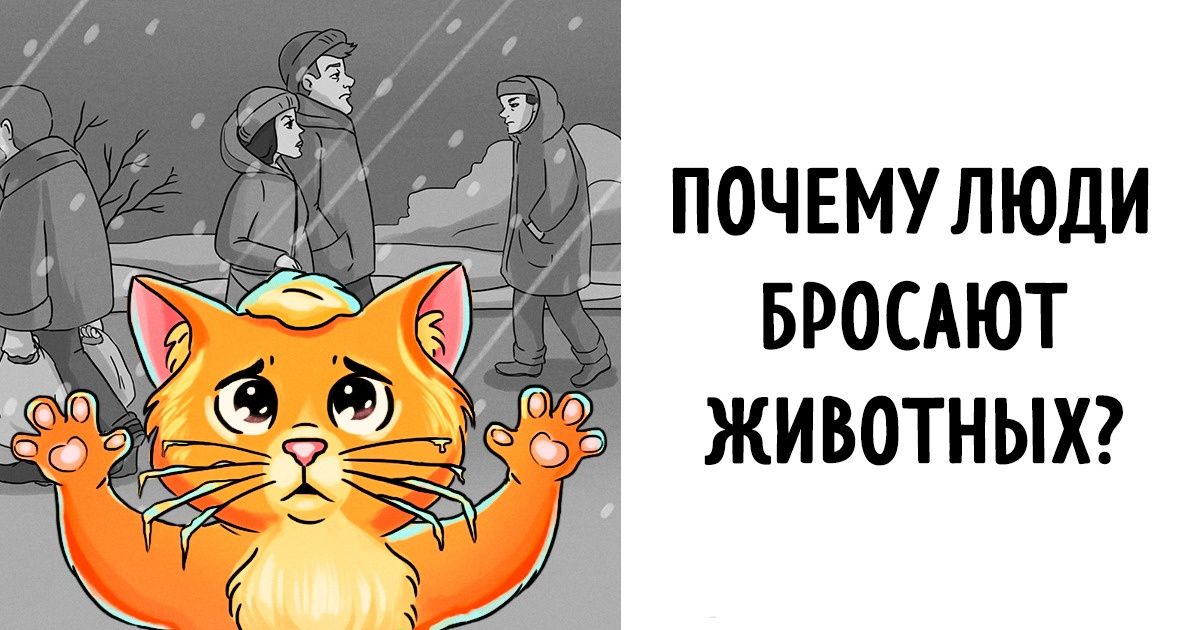 История о том, какие чувства испытывает каждое бездомное животное