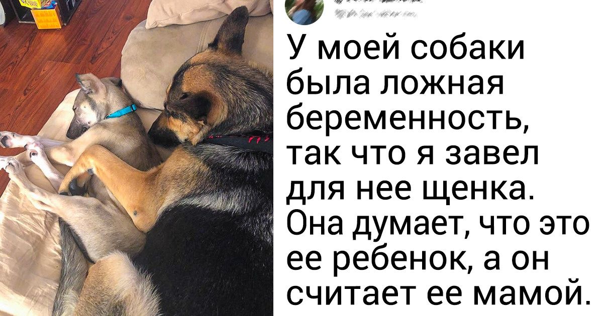 13 трогательных фото, которые доказывают, что чудеса случаются 13 трогательных фото, которые доказывают, что чудеса случаются