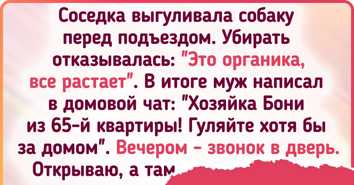 15+ историй о не слишком воспитанных питомцах и таких же хозяевах