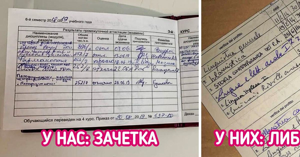 10 особенностей высшего образования в других странах, которые были бы в диковинку нашему студенту 10 особенностей высшего образования в других странах, которые были бы в диковинку нашему студенту