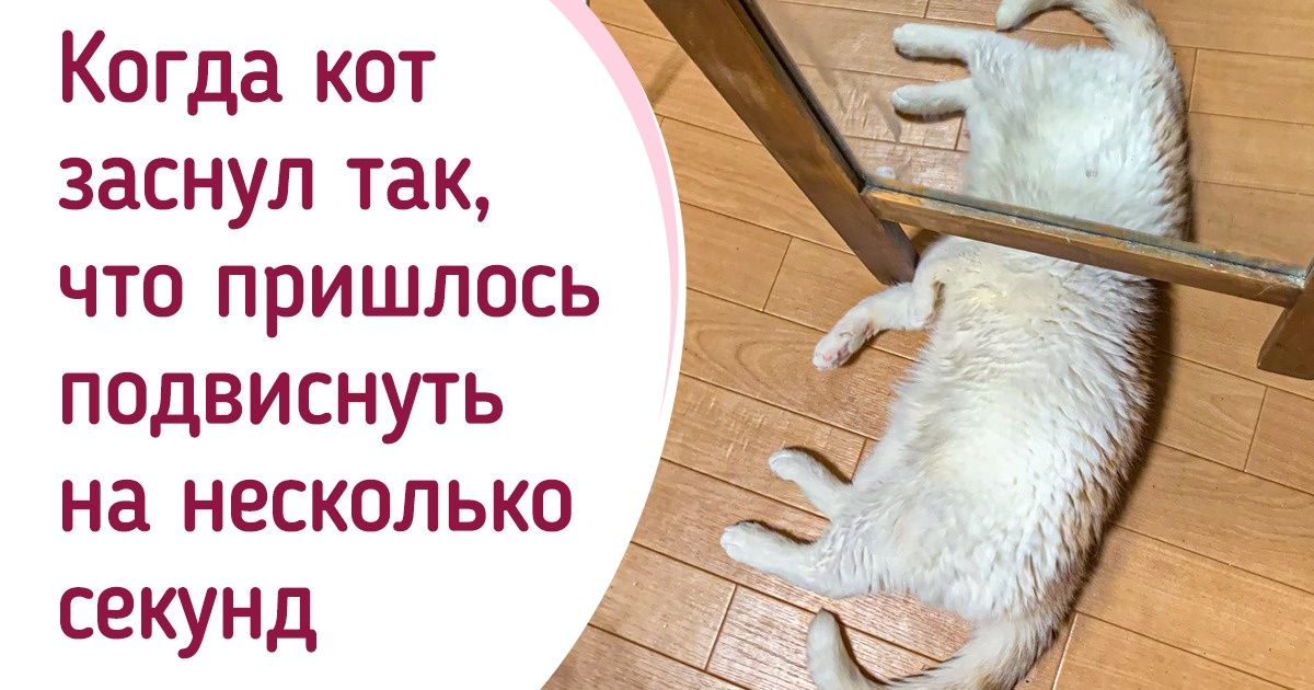 17 фото, к которым хочется присмотреться, чтобы поверить своим глазам 17 фото, к которым хочется присмотреться, чтобы поверить своим глазам