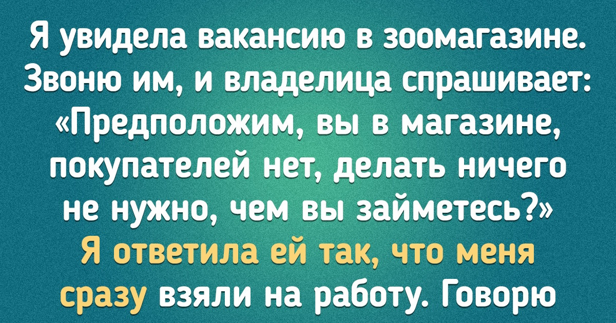15 пользователей сети рассказали, как им удалось пройти собеседование на желаемую работу. И это просто гениально 15 пользователей сети рассказали, как им удалось пройти собеседование на желаемую работу. И это просто гениально