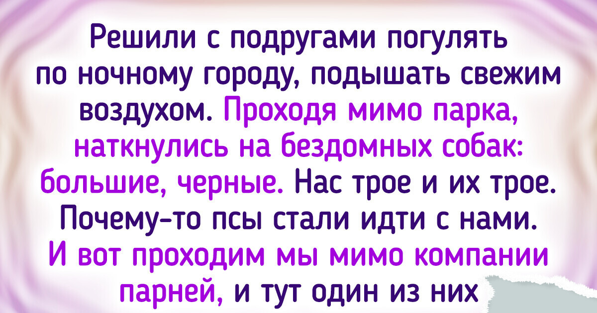 15 историй о бездомных животных, которые могут тронуть ваше сердце