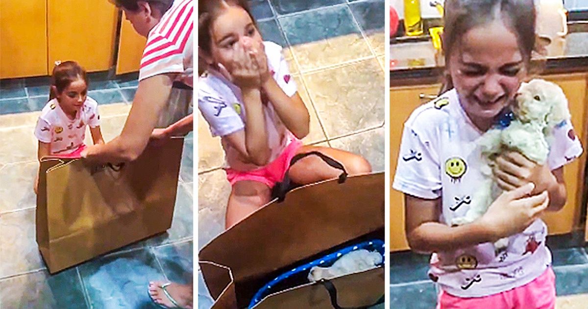 23 доказательства того, что собака для ребенка будет круче любого айфона 23 доказательства того, что собака для ребенка будет круче любого айфона